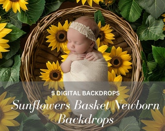 Sunflower Newborn Digital Backdrop: Photography Overlays (JPEG)