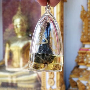 Python Reticulatus Spur – Luang Pu Mun, Wat Ban Chan, Sisaket Provinz
