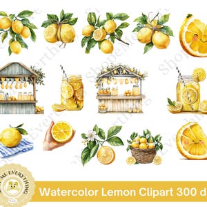 Aquarell Zitrone Clipart, Sommer Zitrone PNG, Zitrone PNG Clipart, digitale Kunst zum Basteln, realistische Ozeanelemente, Scrapbooking, png