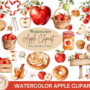 Pode incluir: Uma coleção de cliparts em aquarela com tema de maçã, incluindo maçãs vermelhas, tortas de maçã, uma cesta de maçãs, um caixote de madeira, um pote de geleia, cidra com canela, flores de macieira, um donut, um muffin e uma placa de madeira.