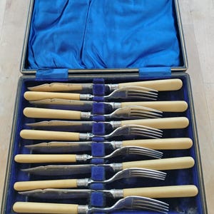 Puede incluir: Un juego de cubiertos vintage en un estuche forrado de terciopelo azul. El juego incluye cuchillos y tenedores con mangos color crema y hojas y púas plateadas. El estuche está abierto, revelando la cubertería cuidadosamente dispuesta.