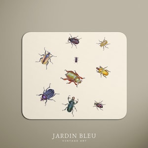 May include: A cream-coloured rectangular print featuring various colourful beetle illustrations. The beetles are depicted in shades of green, red, yellow, blue, and purple. The text "JARDIN BLEU VINTAGE ART" is printed at the bottom.