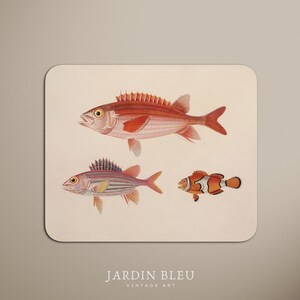 Könnte beinhalten: Ein dekorativer Druck mit drei detaillierten Illustrationen von Fischen. Der obere Fisch ist rot mit einer stacheligen Rückenflosse. Der mittlere Fisch ist rosa mit Streifen, und der untere Fisch ist orange und weiß. Der Text "JARDIN BLEU VINTAGE ART" steht unten.