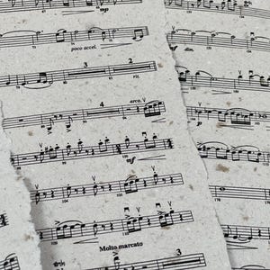 May include: Close-up of torn pieces of sheet music with musical notes and symbols. The paper has a textured, off-white appearance. Musical notations include tempo markings like "poco accel." and "Molto marcato."