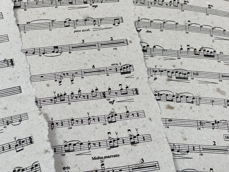 May include: Close-up of torn pieces of sheet music with musical notes and symbols. The paper has a textured, off-white appearance. Musical notations include tempo markings like "poco accel." and "Molto marcato."