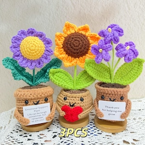 Crochet Emotional Support Sunflower/Daisy/Forget-me-not potted plants,Desk Decor for office,Thank you for helping me grow,Colleague Gifts