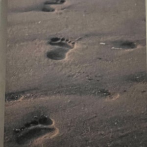 Footprints