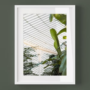 VINTAGE BOTANIC Garden in Glasgow - Boho Home Photography Hauseplants Photo Print Framed Old Greenhouse Calming Wall Art Interior