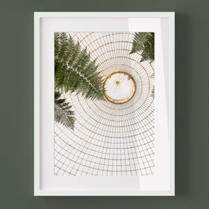 BOTANICAL BOHEMIAN Glasgow Photo Print - Boho Photography Hauseplants Print Framed Botanic Garden Greenhouse Calming Wall Art Vintage Summer