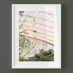 OLD GLASGOW ARCHITECTURE - Real Photo Print Boho Home Framed Photography Botanic Garden Wall Art Nature Vintage Botanical Bohemian