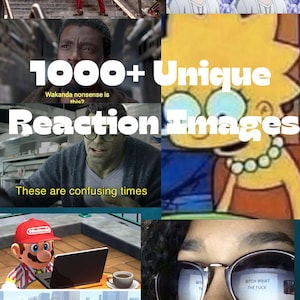 Plus de 1 000 images de réaction uniques | Téléchargement numérique | Idéal pour les mèmes, les réseaux sociaux et la messagerie !
