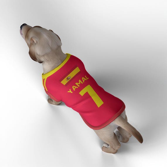 Custom Dog Jersey, Custom Sports Dog Sweater, Personalzed Dog Hoode