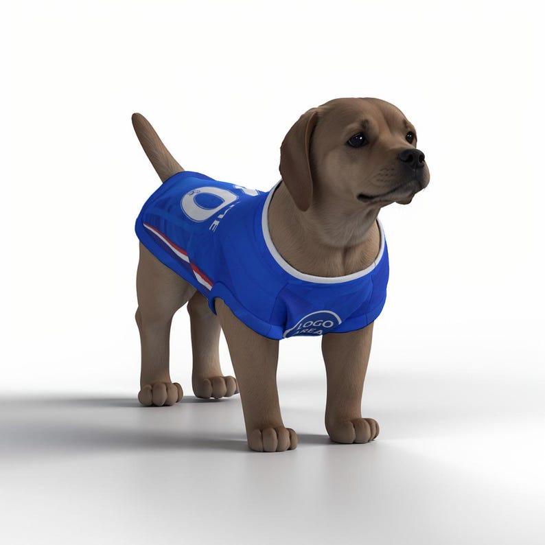 Chelsea FC Personalised Pet Tank Top 26/27 with original FC logo (Dog Football Costume and Cat Football Costume Gift) image 3