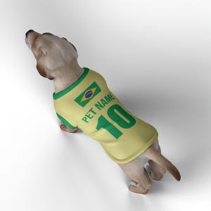 May include: A light tan dog wearing a yellow and green jersey. The jersey features the Brazilian flag, the text "PET NAME", and the number "10" in green. The dog is viewed from above, with a white background.