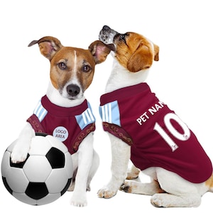 May include: Two dogs wearing maroon and light blue pet jerseys. One dog is holding a soccer ball. The jerseys have white stripes on the sleeves and the number 10 on the back. One jersey says "PET NAME" on the back.