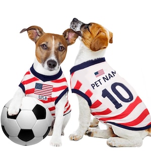 May include: Two dogs wearing red and white striped shirts with the American flag and the text "USA" and "PET NAME 10". One dog is holding a soccer ball. The shirts have blue trim.