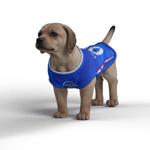Chelsea FC Personalised Pet Tank Top 26/27 with original FC logo (Dog Football Costume and Cat Football Costume Gift) image 2
