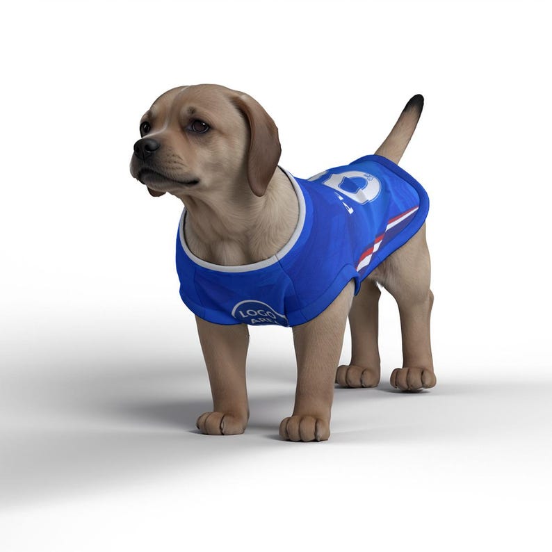 Chelsea FC Personalised Pet Tank Top 26/27 with original FC logo (Dog Football Costume and Cat Football Costume Gift) image 2