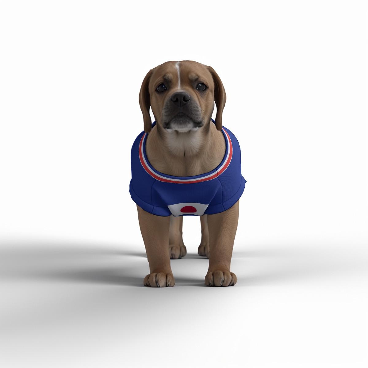 Japan Football/soccer Personalised World Cup 2026 Pet Tank Top