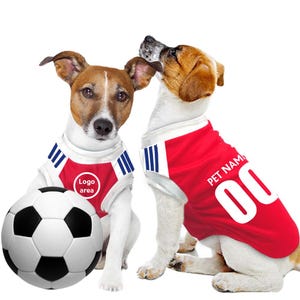 Camiseta personalizada para mascota del Arsenal FC 24/25 con el logo original del FC (disfraz de perro y gato de regalo)