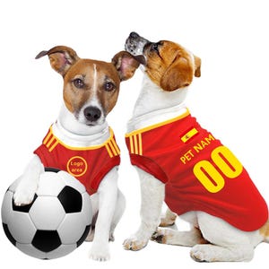 Camiseta personalizada para mascota del Club de Fútbol de España con el logo original del FC (disfraz de perro y gato de regalo)
