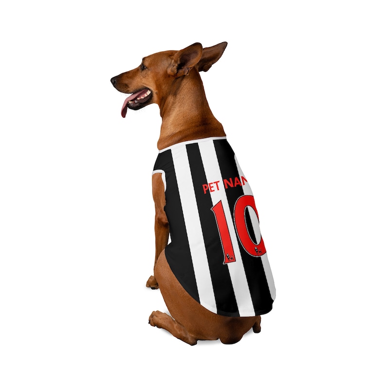 Newcastle United Débardeur personnalisé pour animal de compagnie FC 23/24 avec logo FC original cadeau costume de football pour chien et costume de football pour chat image 3