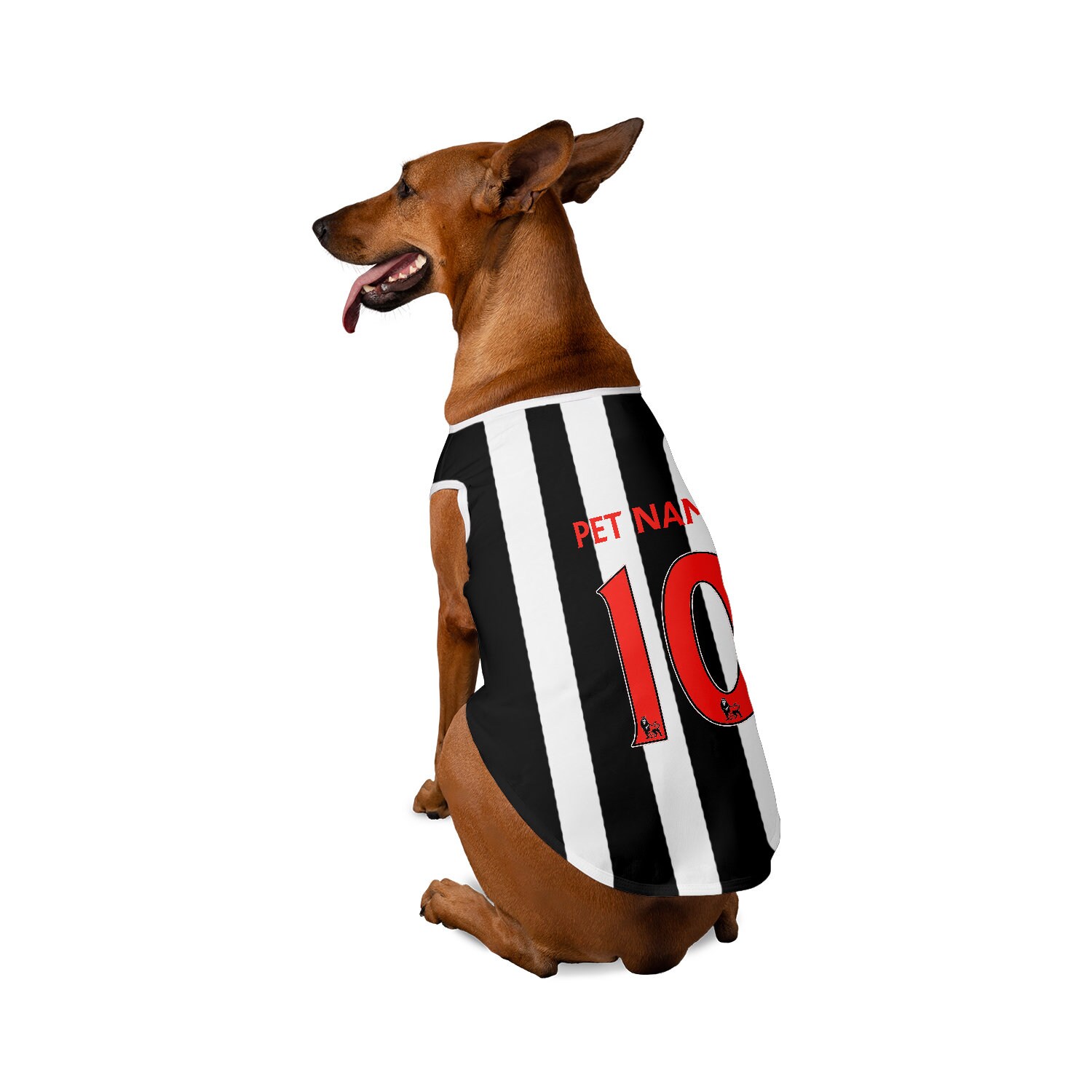 Newcastle united dog collar 2025
