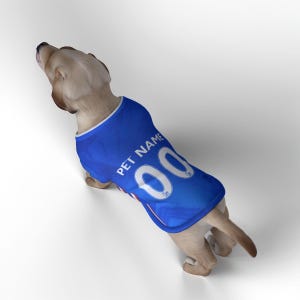 Chelsea FC Personalised Pet Tank Top 26/27 with original FC logo (Dog Football Costume and Cat Football Costume Gift) image 4