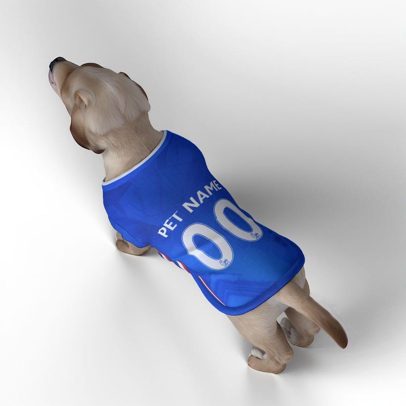 Chelsea FC Personalised Pet Tank Top 26/27 with original FC logo (Dog Football Costume and Cat Football Costume Gift) image 4