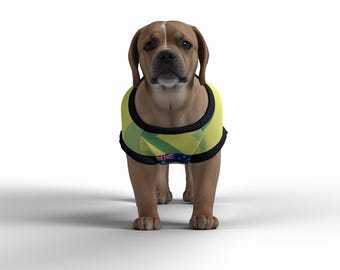 Australia Football Personalised World Cup 2026 Pet Tank Top with original FC logo (Custom Dog/Cat Soccer Jersey Gift)