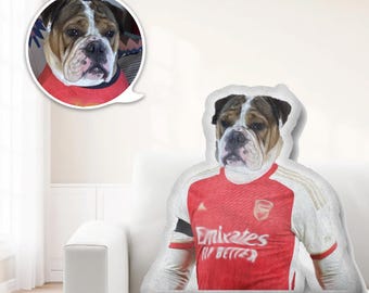 Football Custom Pet Pillow Any Football FC Arsenal/Chelsea/Newcastle... - Football Lover Gift, English Soccer with original logo