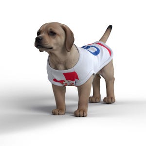 May include: A light brown puppy wearing a white t-shirt with a red and white checkered pattern on the left side and a blue number "0" on the right side.