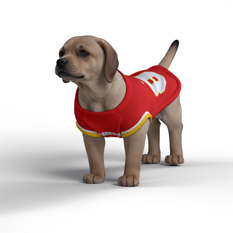 May include: A light brown puppy wearing a red jersey with a white number "8" and the word "Chiefs" on it. The puppy is standing on a white background.