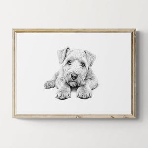 Soft-Coated Wheaten Terrier Print, Cute Dog Vintage Print, Dog Sketch, Farmhouse Decor, Wheaten Terrier Gifts | Printable Digital Download