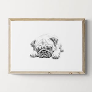 Schlafender Mops Druck, Hund Vintage Druck, Hunde Skizze, Bauernhaus Dekor, Mops Geschenke | Druckbare digitale Datei