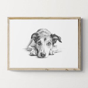 Lurcher Print, Cute Dog Vintage Print, Dog Sketch, Farmhouse Decor, Lurcher Gifts | Printable Digital Download