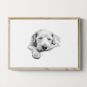 Sleeping Soft Coated Wheaten Terrier Print, Dog Vintage Print, Dog Sketch, Farmhouse Decor, Dog Gifts | Printable Digital Download