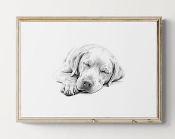 Sleeping Labrador Retriever Print, Dog Sketch, Labrador Retriever Gifts | Printable Digital Download