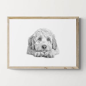 Labradoodle Print, Cute Dog Vintage Print, Dog Sketch, Farmhouse Decor, Labradoodle Gifts | Printable Digital Download