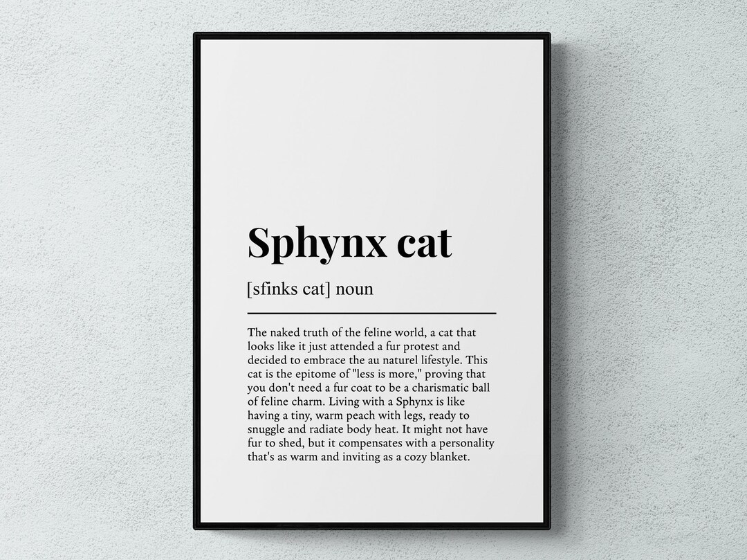 Sphynx Cat Funny Definition Wall Art Print Etsy UK