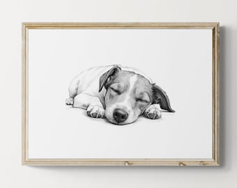 Impresión de Jack Russell Terrier durmiendo, impresión vintage de perro, boceto de perro, decoración de granja, regalos de Jack Russell / Descarga digital imprimible