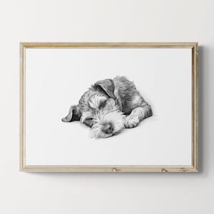 Sleeping Schnauzer Print, Dog Vintage Print, Dog Sketch, Farmhouse Decor, Schnauzer Gifts | Printable Digital Download