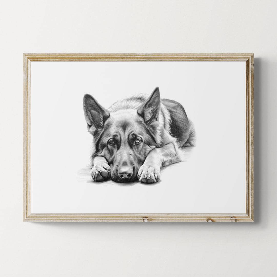 Schäferhund skizze - Etsy Schweiz, image size:1080x1080