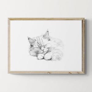 Sleeping Ragdoll Cat Print, Cat Vintage Print, Cat Sketch, Farmhouse Decor, Cat Gifts | Printable Digital Download