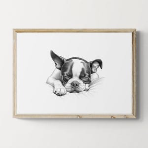 Sleeping Boston Terrier Print, Dog Vintage Print, Dog Sketch, Farmhouse Decor, Boston Terrier Gifts | Printable Digital Download