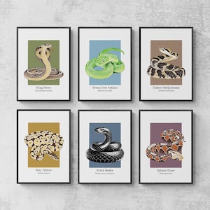 Snake Set of 6 Prints, Snake Wall Art, Linocut Art - King Cobra, Green Tree Python, Rattlesnake, Ball Python, Black Mamba, Gaboon Viper