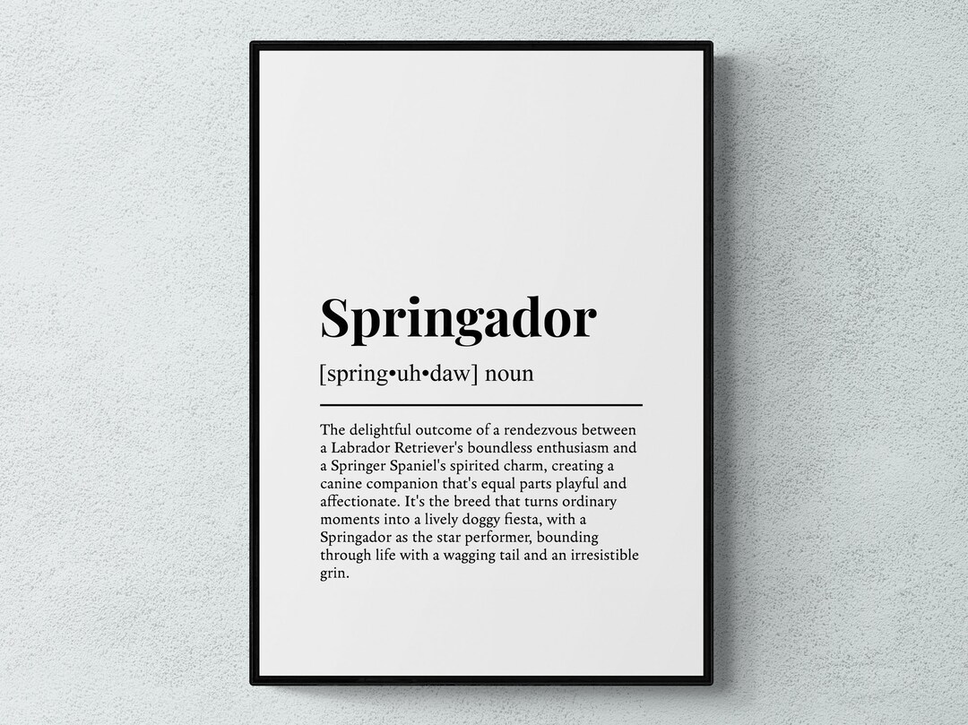 Springador Definition Print, Funny Pet Wall Art, Dog Gift - Etsy UK