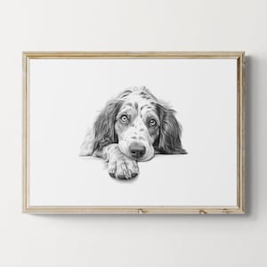 English Setter Print, Cute Dog Vintage Print, Dog Sketch, Farmhouse Decor, English Setter Gifts | Printable Digital Download