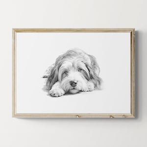 Bearded Collie Print, Cute Dog Vintage Print, Dog Sketch, Farmhouse Decor, Bearded Collie Gifts | Printable Digital Download