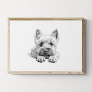 Cairn Terrier Print, Cute Dog Vintage Print, Dog Sketch, Farmhouse Decor, Cairn Terrier Gifts | Printable Digital Download